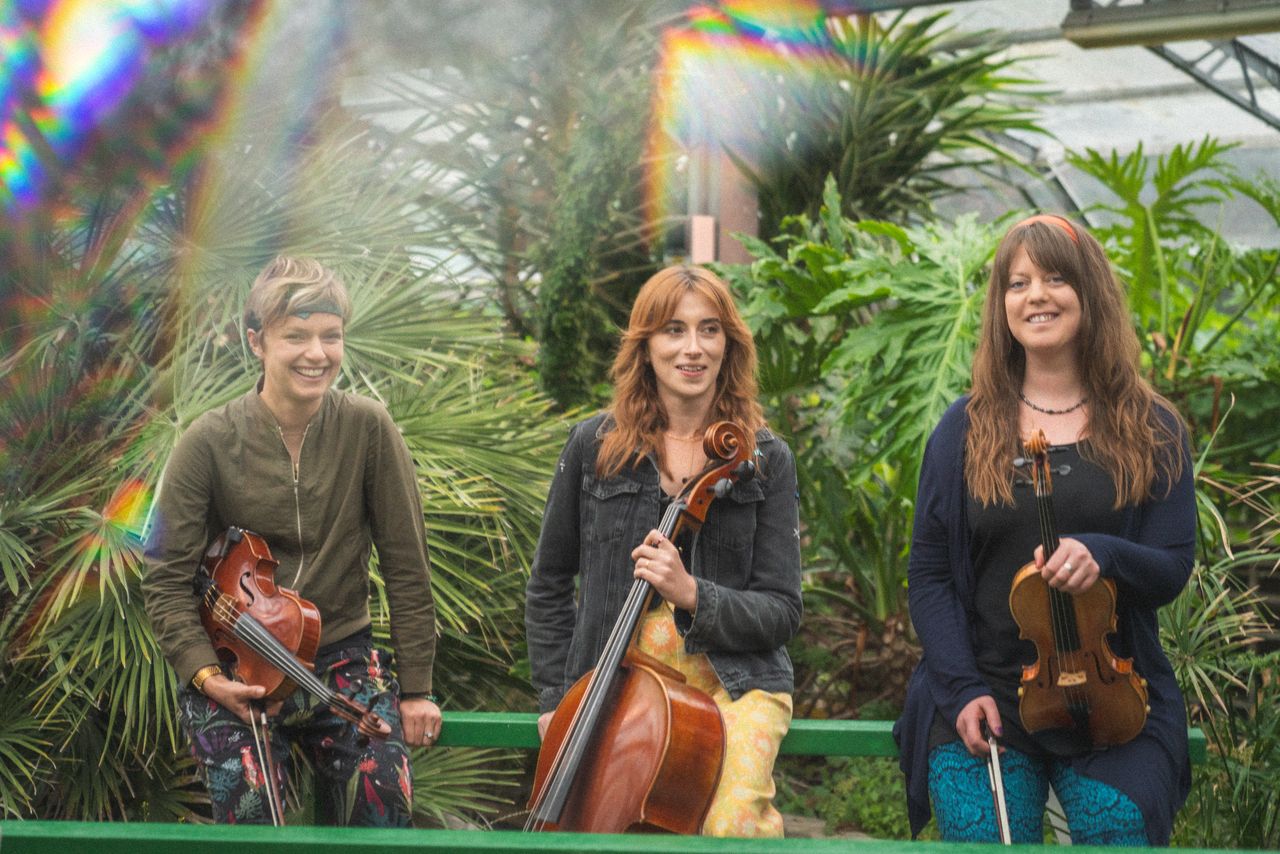 Cam Jazz Fest - J.A.M. String Collective - 14th November 2025